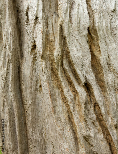 image to crop