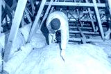 preview cold