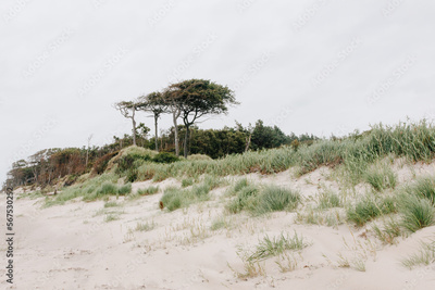 image to crop