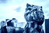 preview cold
