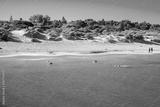 preview bw