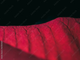 preview original