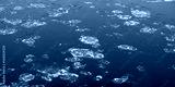 preview cold