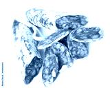 preview cold