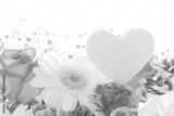 preview bw