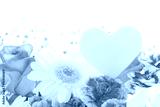 preview cold