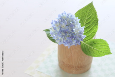 image to crop