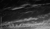 preview bw