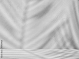 preview original