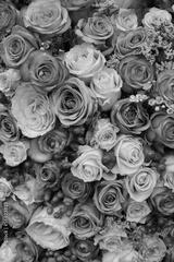 preview bw