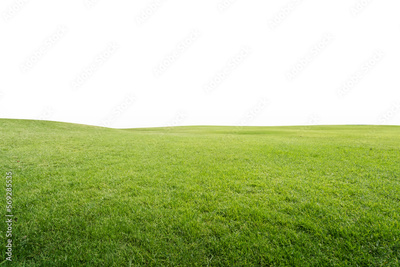 image to crop