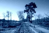 preview cold