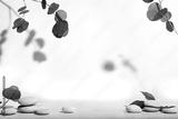 preview bw
