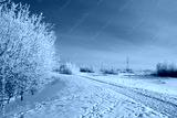 preview cold