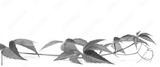 preview bw