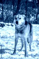 preview cold