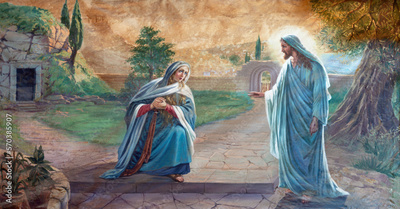 image to crop