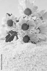 preview bw