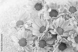 preview bw