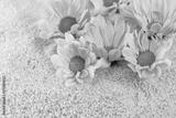 preview bw
