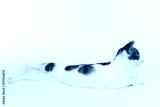 preview cold