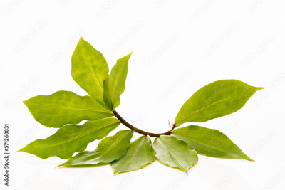 image to crop