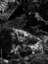 preview bw