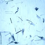 preview cold