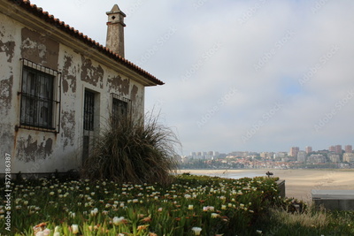 image to crop