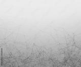 preview bw