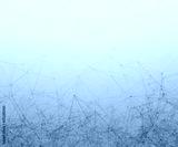 preview cold