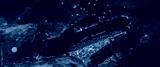 preview cold