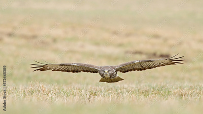 image to crop