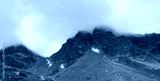 preview cold