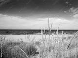 preview bw