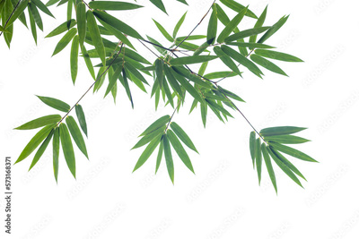 image to crop