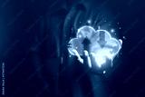 preview cold
