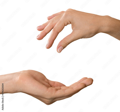 image to crop
