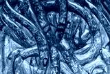preview cold