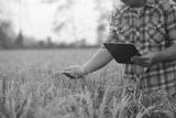 preview bw