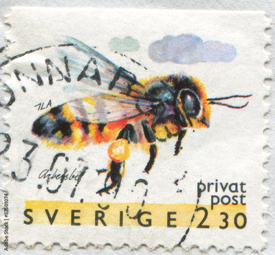 image to crop