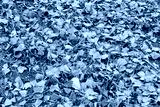 preview cold