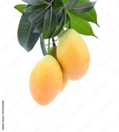 image to crop
