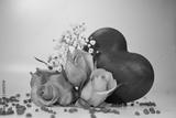 preview bw