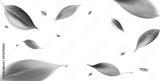 preview bw
