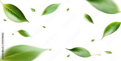 image to crop