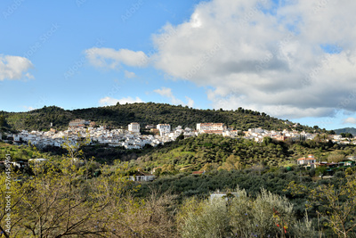 image to crop