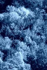 preview cold