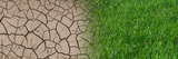 preview original