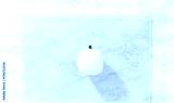 preview cold